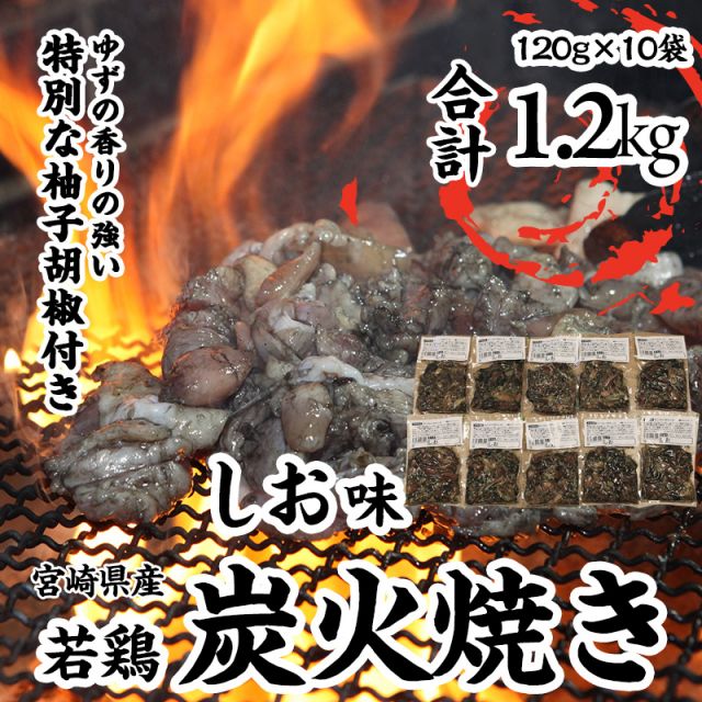 宮崎県産若鶏炭火焼(冷凍120g×10袋 計1.2kg)