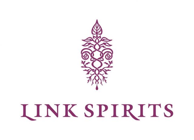 LINK SPIRITS